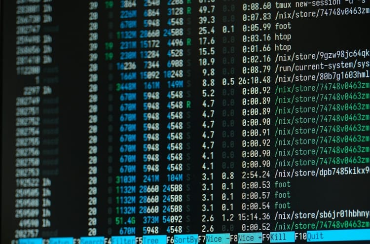 Linux: Why Should You Master It